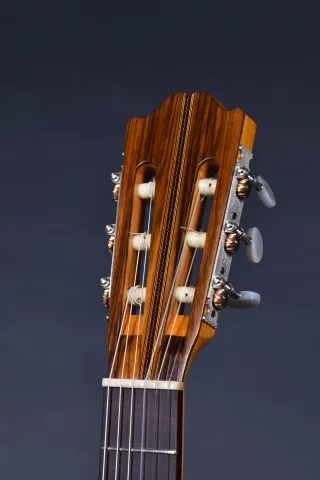 Dettaglio